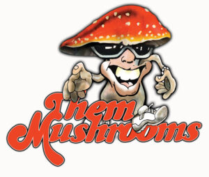 Them Mushrooms: East Africa’s Musical Icons Join the Ordior and Blue Pie Records Family !